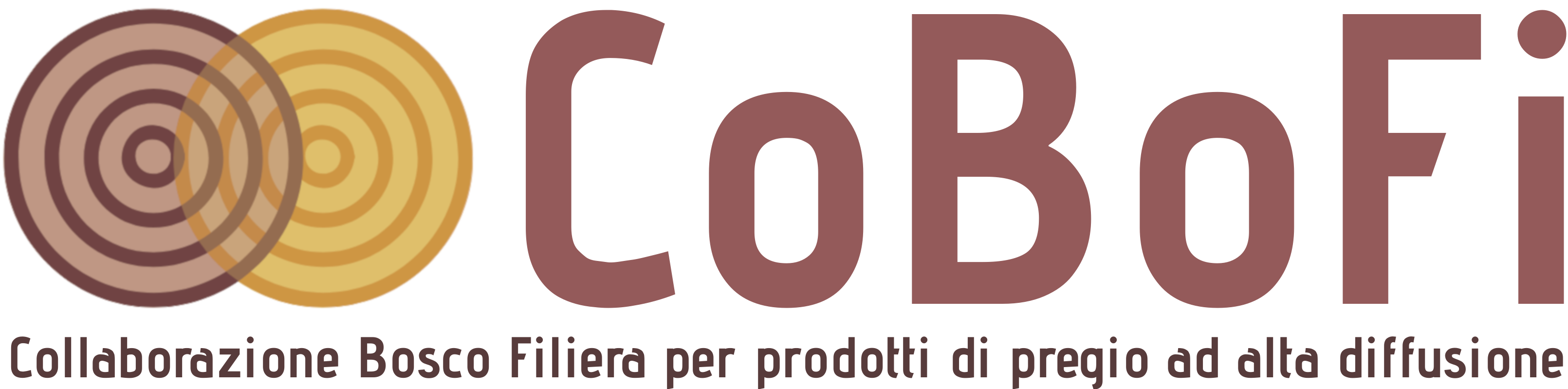 Progetto CoBoFi